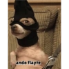 Xdd 10