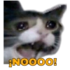 Gatitos Ocurrencias. 15