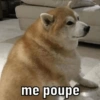 JÁ ATUALIZOU SEUS MEMES HOJE? 15