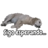 Perritos 12
