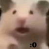 Shitpost Random😎😉5 8