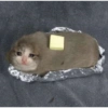 Gatos tristes 24