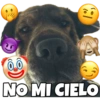 PERRITO CUTE 11