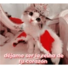 Michis tiernos hechos de amor 21
