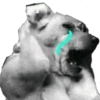 Memes de cachorros 26
