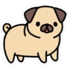 🐼~Animalitos|Infaltables~🐢 7