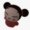 PUCCA 5