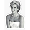Princesa diana 17