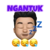 MEMOJI 30