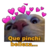 Gatitos Ocurrencias. 6