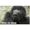 Insta:GORİLCOMİCS 13