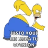 Homero 11