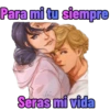 Miraculous Ladybug 12