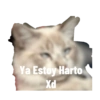Las Aventuras Del Harry T1 GIF 19