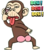 Monkey 15