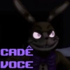 Fnaf security breach 29