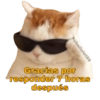 Gatitos Ocurrencias. 16