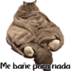 Animales Friolentos 🥶❄ 16
