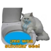 Gatitos Ocurrencias. 11