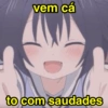 Memes que vc precisa 12