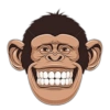 Monkey 10