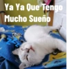 Las Aventuras Del Harry T1 GIF 11