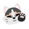 Pack de gatita graciosa 2 10