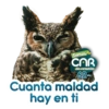 SOMOS CAR DE CORAZÓN 💚 8