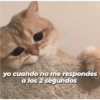 Michis tiernos hechos de amor 10