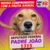Padre João 1315 15