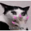 Xdd 6