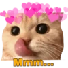 Gatitos Ocurrencias. 10
