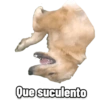 Perritos 28