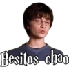 Harry Potter 22