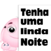 BOA NOITE-1 30