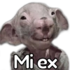 Memes Del Momento II 17