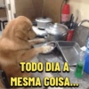 F TODO DIA A MESMA COISA...