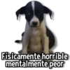 Físicamente horrible mentalmente peor