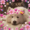 🧋🌸 AMORCITO 💕💘 10