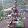 🍃🐶🧿 Perro Chamán 🧿🐶🍃 21