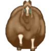 Caballo gordo random 🐴 10