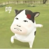 Sion Cow Meme Sapi 15