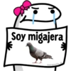 🌈 Flork Frases 4 🧦 10