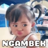 NGAMBER