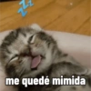 Reacciones de Michis 😺💥🤭 9