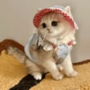 Kucing Cosplay 10