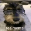 Crealmente