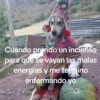 🍃🐶🧿 Perro Chamán 🧿🐶🍃 7