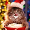 😻Gatitos Navideños🎄 21