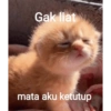 MEME KUCING🤣 7